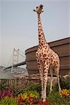 Noah's Ark & Tsing Ma Bridge, Ma Wan, Hong Kong