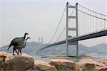 Parc de l'arche, l'arche de Noé, Ma Wan, Hong Kong