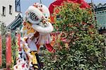 Lion dance celebrating the Tam Kung festival, Shaukeiwan, Hong Kong