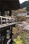 Visiteur sur la scène de Kiyomizu-dera, Higashiyama, Kyoto, Japon