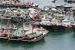 Fishing boats at Shaukeiwan typhoon shelter, Hong Kong