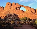 Arches National Park in Moab, Utah. USA