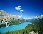 Peyto Lake au Sommet Bow, province du Parc National Banff, Alberta, Canada