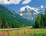 Mont Robson, le Parc Provincial du Mont Robson, en Colombie-Britannique, Canada