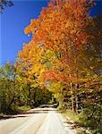 La Mauricie National Park, Laurentides, Quebec, Canada