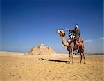 Pyramide et caravane chameau, Égypte