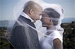 Profile of a newlywed young couple under a veil