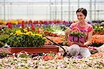 USA, Utah, Salem, woman in plant nursery