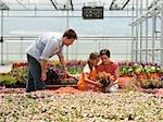 USA, Utah, Salem, fille (8-9) aux parents de choisir des plantes en serre