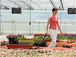 USA, Utah, Salem, Mitte Erwachsene Frau, die Auswahl der Pflanzen im Gewächshaus