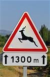 Deer Crossing Sign