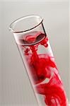 Red Liquid in Test Tube