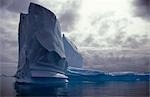 Mise à la terre d'icebergs.