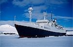 Tourist expedition ship 'Endeavour' garaged in sea-ice