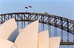 Die weiße gewölbte Dächer des Sydney Opera House, unterstützt von der Harbour Bridge
