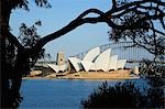 Syndey's iconic Opera House and Harbour Bridge are framed by trees in the Royal Botanic Gardens on Farm Cove