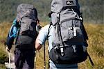 Hiking through the buttongrass plains on the Overland Track. .