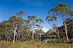 New Pelion Hut on the Overland Track