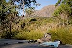 Hiking gear at camp on the Overland Track