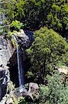 Australia,Tasmania. Waterfall in Gunns Plains.