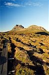 Australia,Tasmania. Peaks of Cradle Mountain (1545m) and the bush scrub on the Overland Track in 'Cradle Mountain-Lake St Clair National Park' - part of Tasmanian Wilderness World Heritage Site.