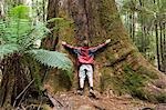 Australien, Tasmanien, Mount Felder Nationalpark. Besucher auf der hohen Bäume Walk, den riesigen Bäumen in den Schatten gestellt.