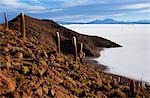 Blick von der Spitze der Isla de Pescado (Fisch-Insel) über den Salar de Uyuni, der größte Salztonebene in der Welt.