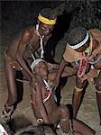 A bushman,or San,collapses in a trance and is helped by members of his band during a sing-song round their campfire. These NS hunter gatherers live in the Xai Xai Hills close to the Namibian border. Their traditional way of life is fast disappearing.