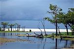 Dramatic stormy light over the banks of the Tapajos river,a tributary of the Amazon River in the Amazonas region of Brazil
