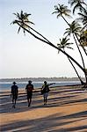 Brésil, Bahia, l'île de Tinharé, archipel de Tinharé. Des plages et des palmiers de la côte Atlantique de Bahia.