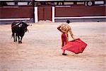 Matador et taureau, Plaza de Toros. Madrid, Espagne