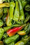 Organic Hot Peppers, Penticton, Okanagan Valley, British Columbia, Canada