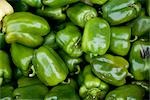 Organic Green Peppers, Penticton, Okanagan Valley, British Columbia, Canada