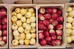 Caisses de pommes, Penticton, bio vallée de l'Okanagan, en Colombie-Britannique, Canada