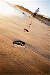 Empreintes de pas sur la plage, Santa Cruz, Californie, USA