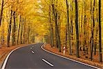 Road, Spessart, Bavaria, Germany