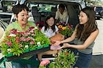 Family Loading New flowers into SUV