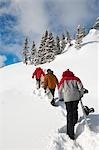 Three teenagers (16-17) holding snowboards, hiking through snow, rear view.