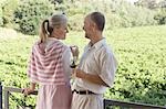 Mature couple on terrace holding wine glasses