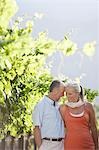 Portrait de couple d'âge mûr au vignoble