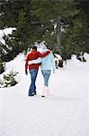 Couple walking on snow-covered path, back view
