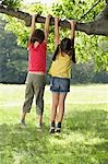 Two girls (7-9) hanging from tree