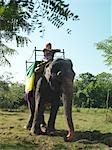 Young woman riding elephant, leaning, looking at view