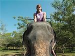 Portrait of young man riding elephant, smiling, trees in background