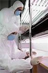 Workers in protective masks and suits in laboratory