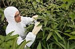 Worker in protective suit measuring plants, elevated view