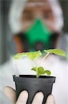 Worker in protective suit holding plant, focus on plant