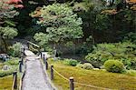 Japan, Kyoto, Tenju-an Temple garden with footpath and bridge