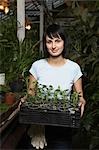 Greenhouse Worker with Tray of Potted Plants