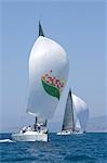 Two yachts compete in team sailing event, California